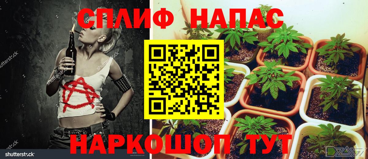 Каннабис марихуана Кизляр